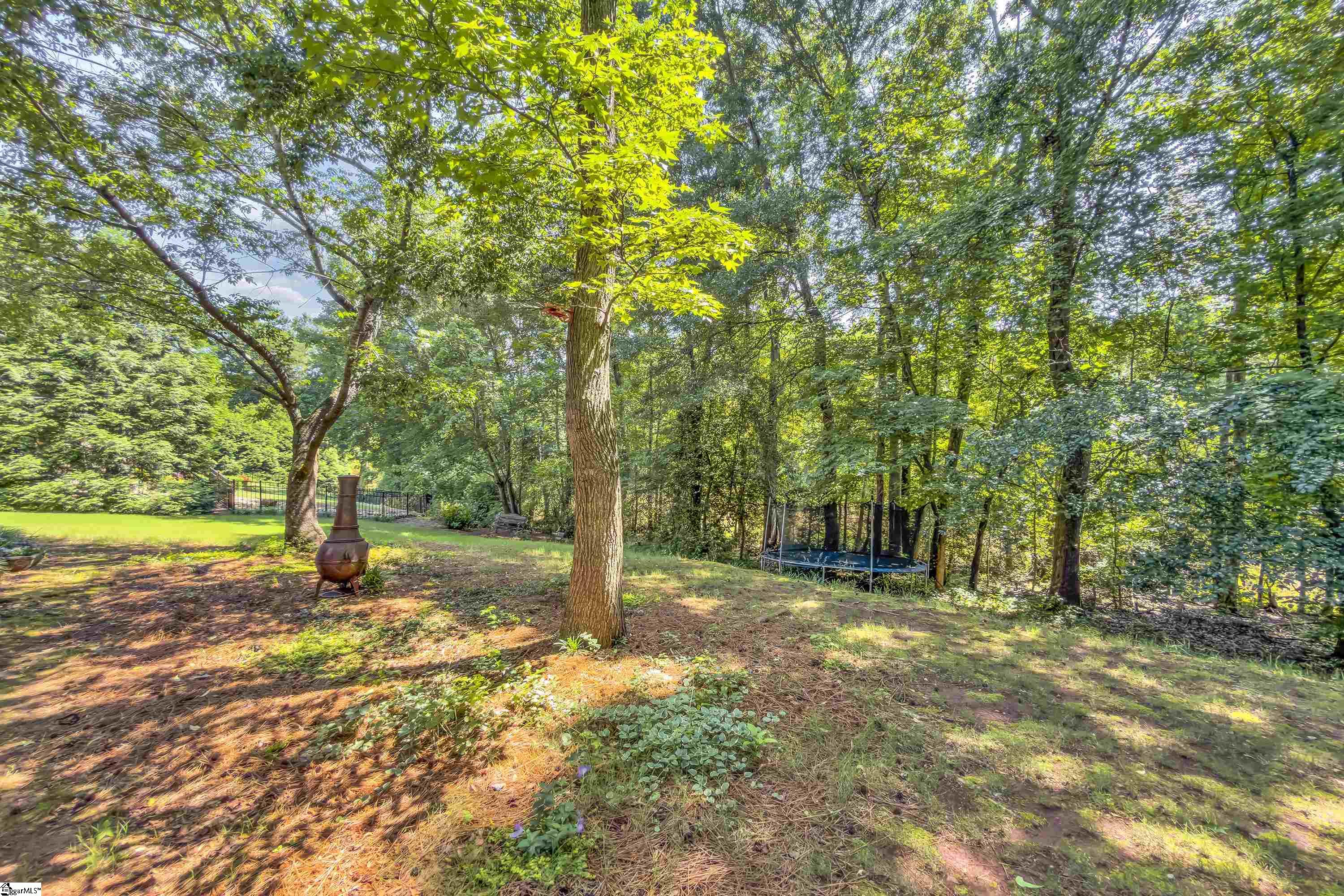 316 New Tarleton Way Greer, SC 29650 - Photo 25 of 32