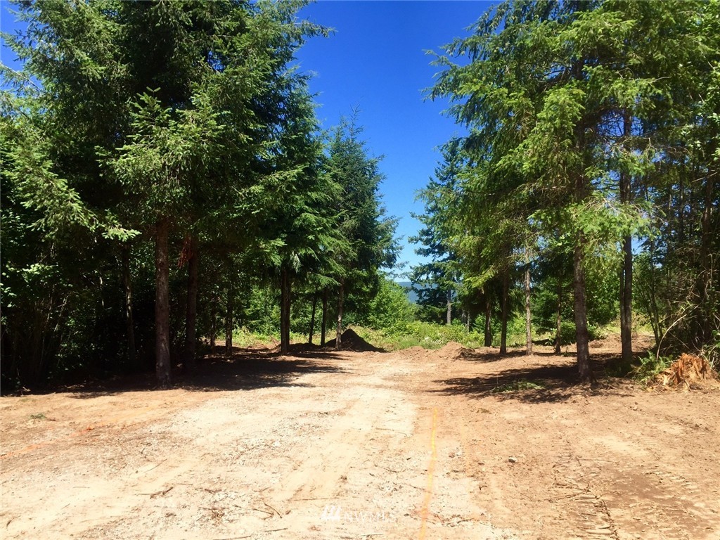 275 Cross Creek Road Kelso, WA 98626 - Photo 1 of 18 Gallery Image 1