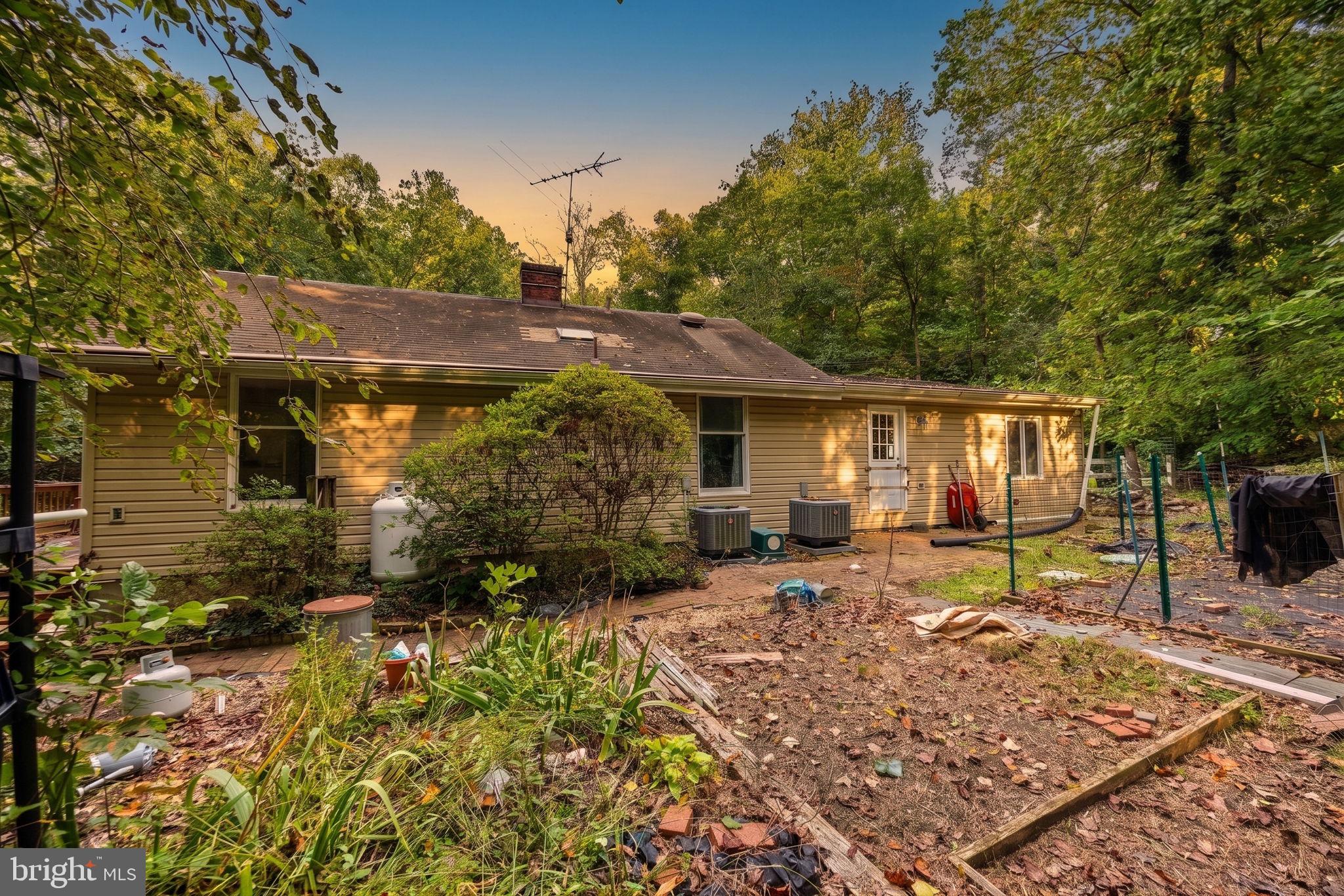 356 Severn Road Annapolis, MD 21401 - Photo 49 of 86 Back yard - on rare level 0.24 acre lot