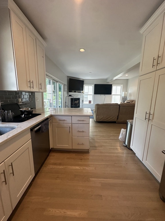 331 Savin Hill Avenue Boston, MA 02125 - Photo 3 of 18