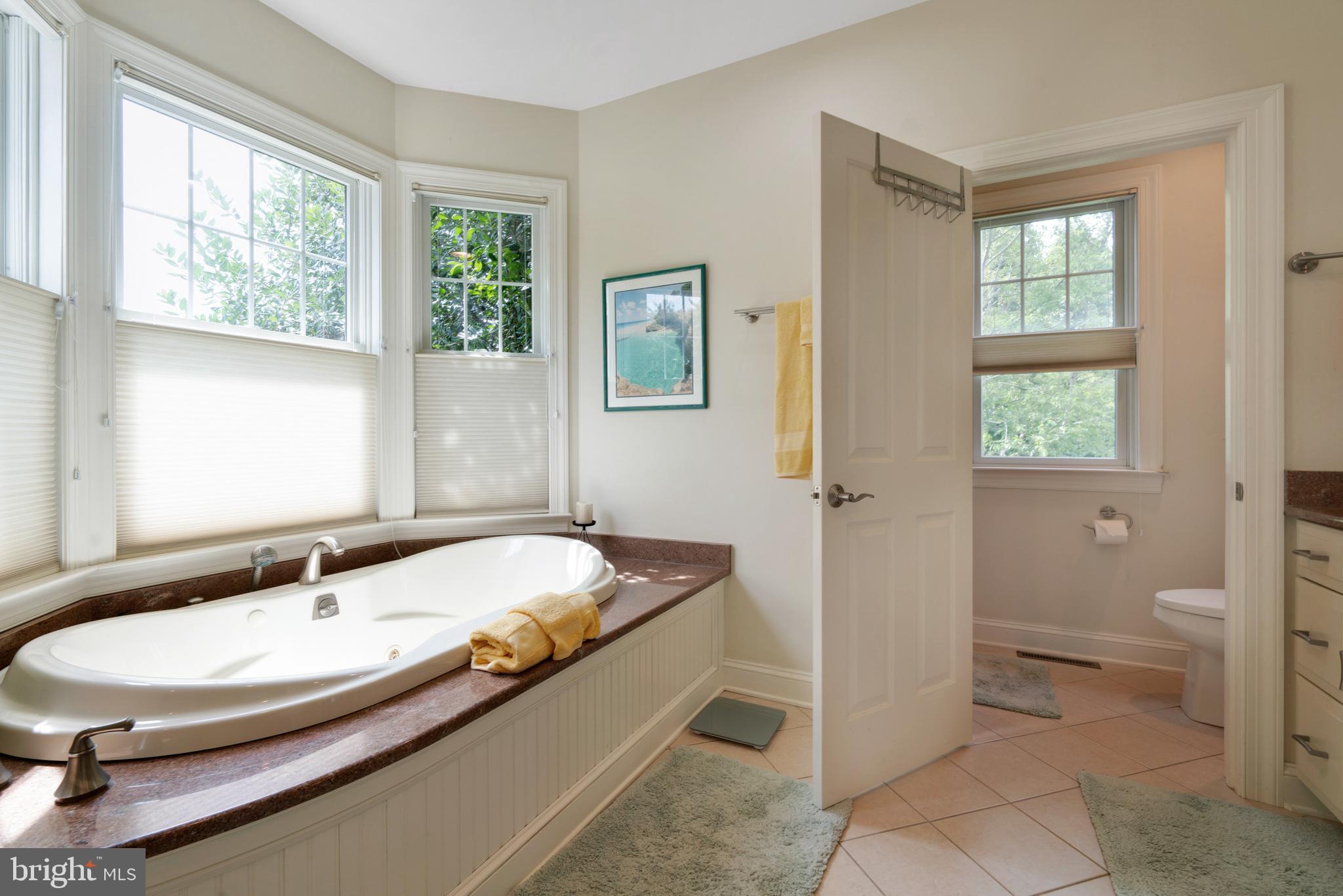6945 Hagy Road Rock Hall, MD 21661 - Photo 25 of 32 with jetted tub and separate shower.