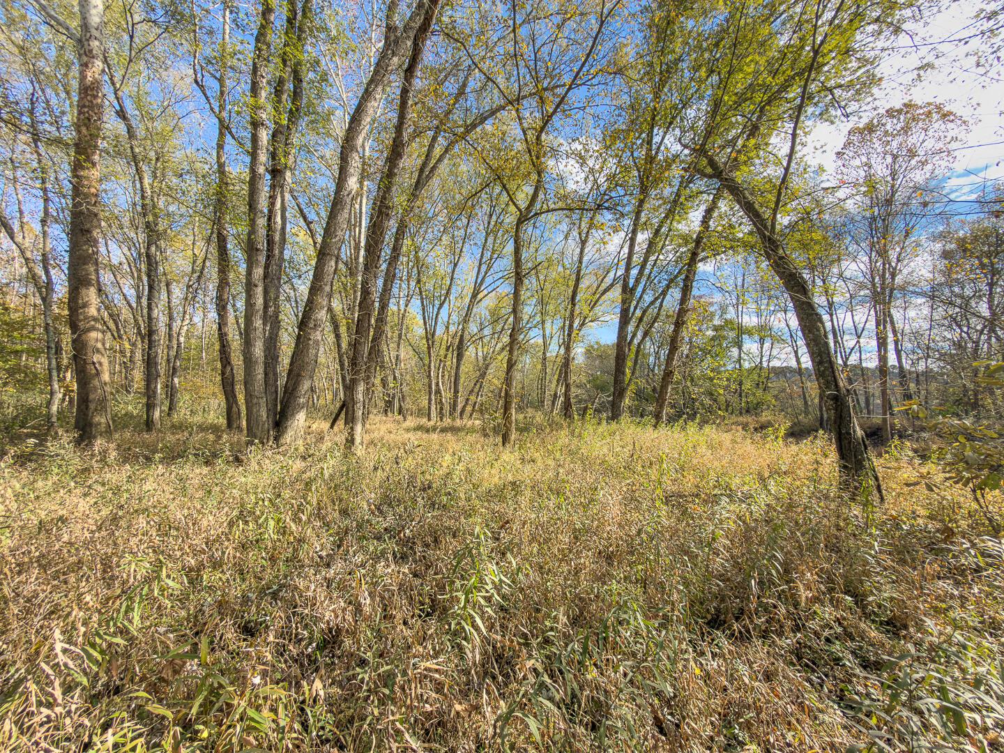 0 Hawk Station Road Wellston, OH 45692 - Photo 13 of 20 Thompsonville Rd 35-13