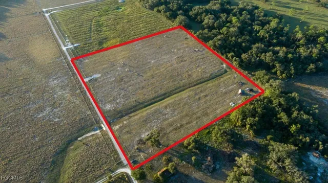 a view of outdoor space with trees all around