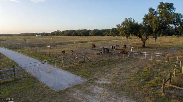 a view of a yard with wooden fence