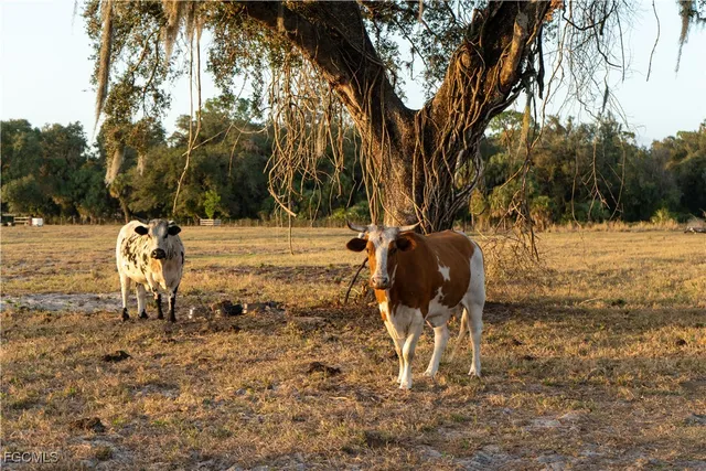 $350,000 | 894 Cemetery Road, LaBelle, FL 33935