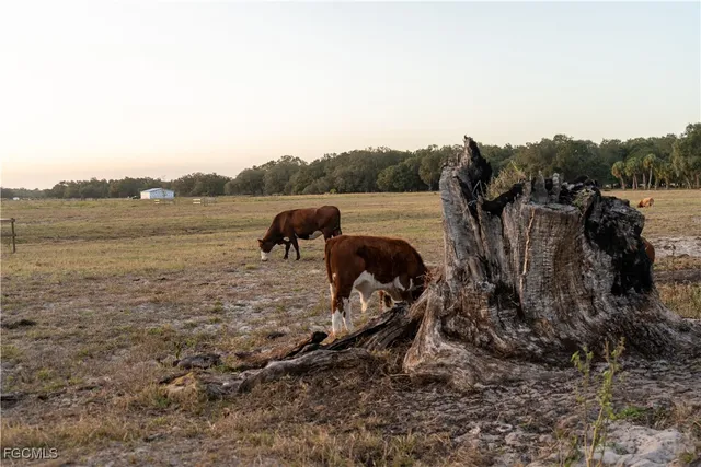 $350,000 | 894 Cemetery Road, LaBelle, FL 33935