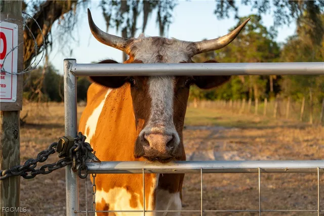 $350,000 | 894 Cemetery Road, LaBelle, FL 33935