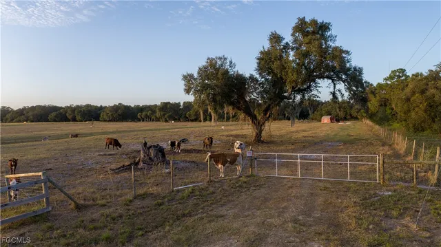 a view of small area