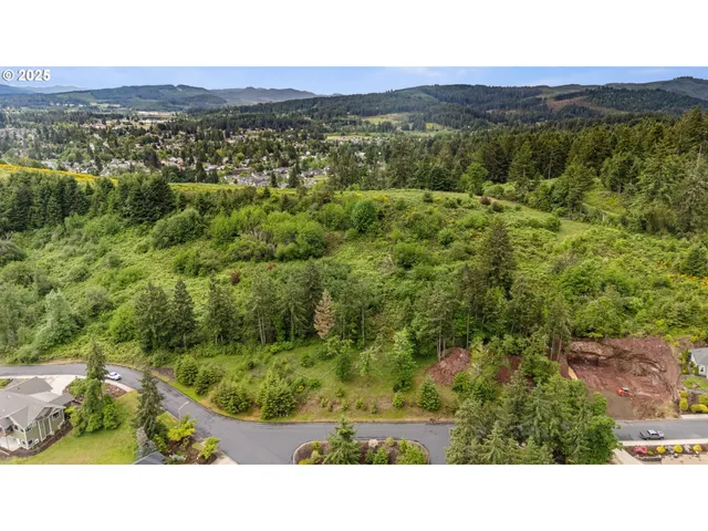 a view of a city with lush green forest