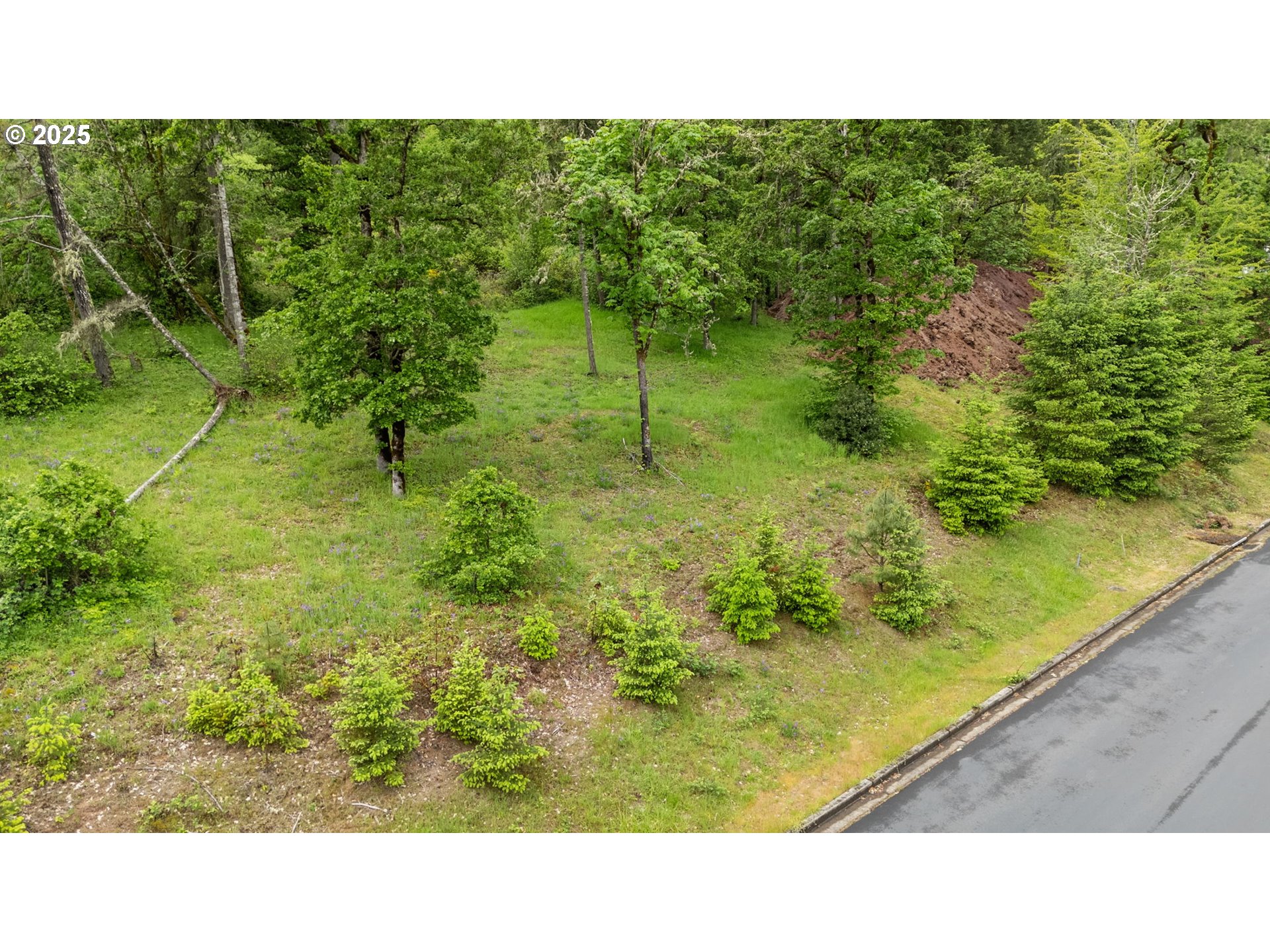 1117 La Rae Drive Cottage Grove, OR 97424 - Photo 2 of 9 a black and white photo of a garden