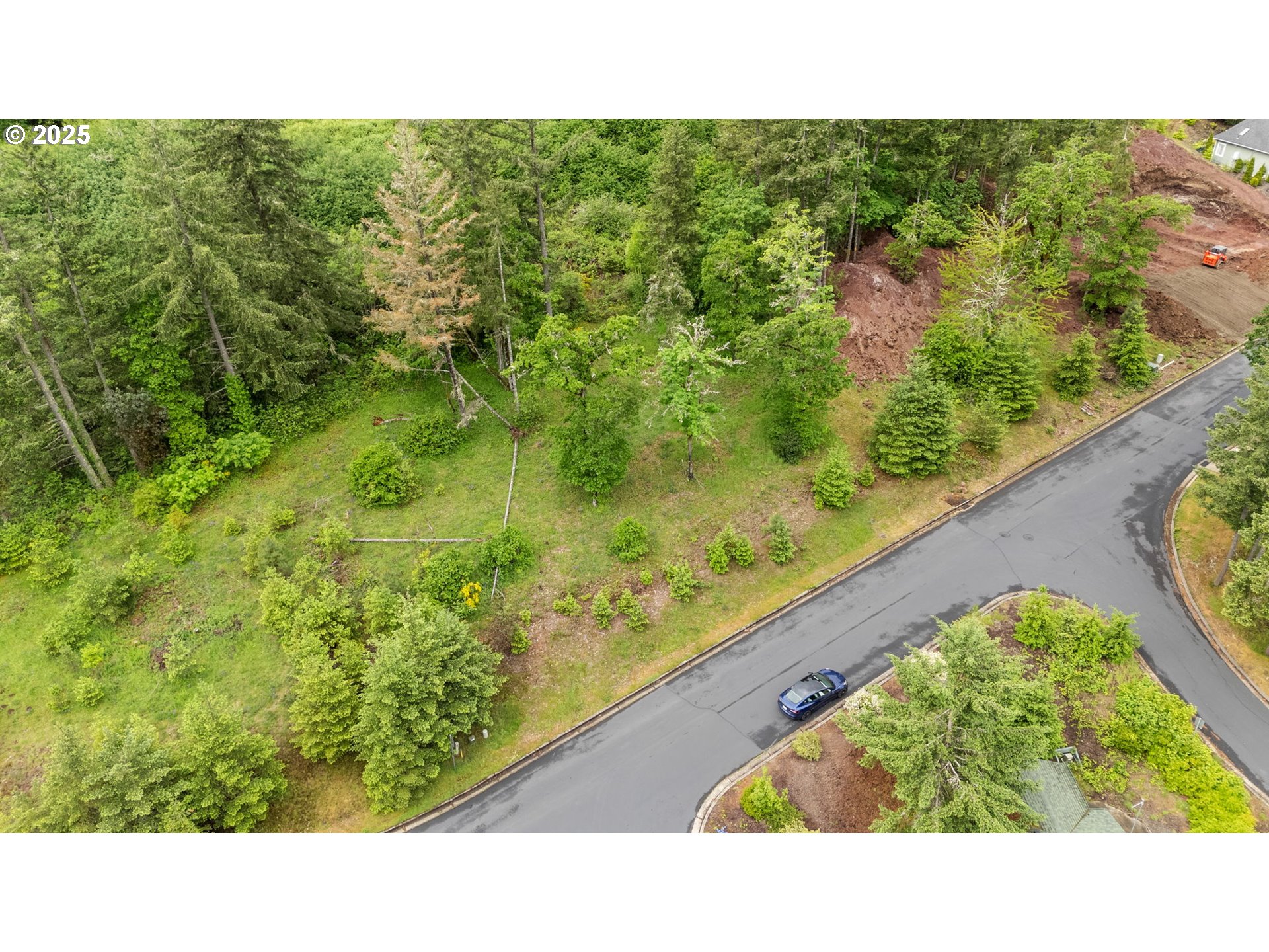 1117 La Rae Drive Cottage Grove, OR 97424 - Photo 3 of 9 a black and white photo of a city