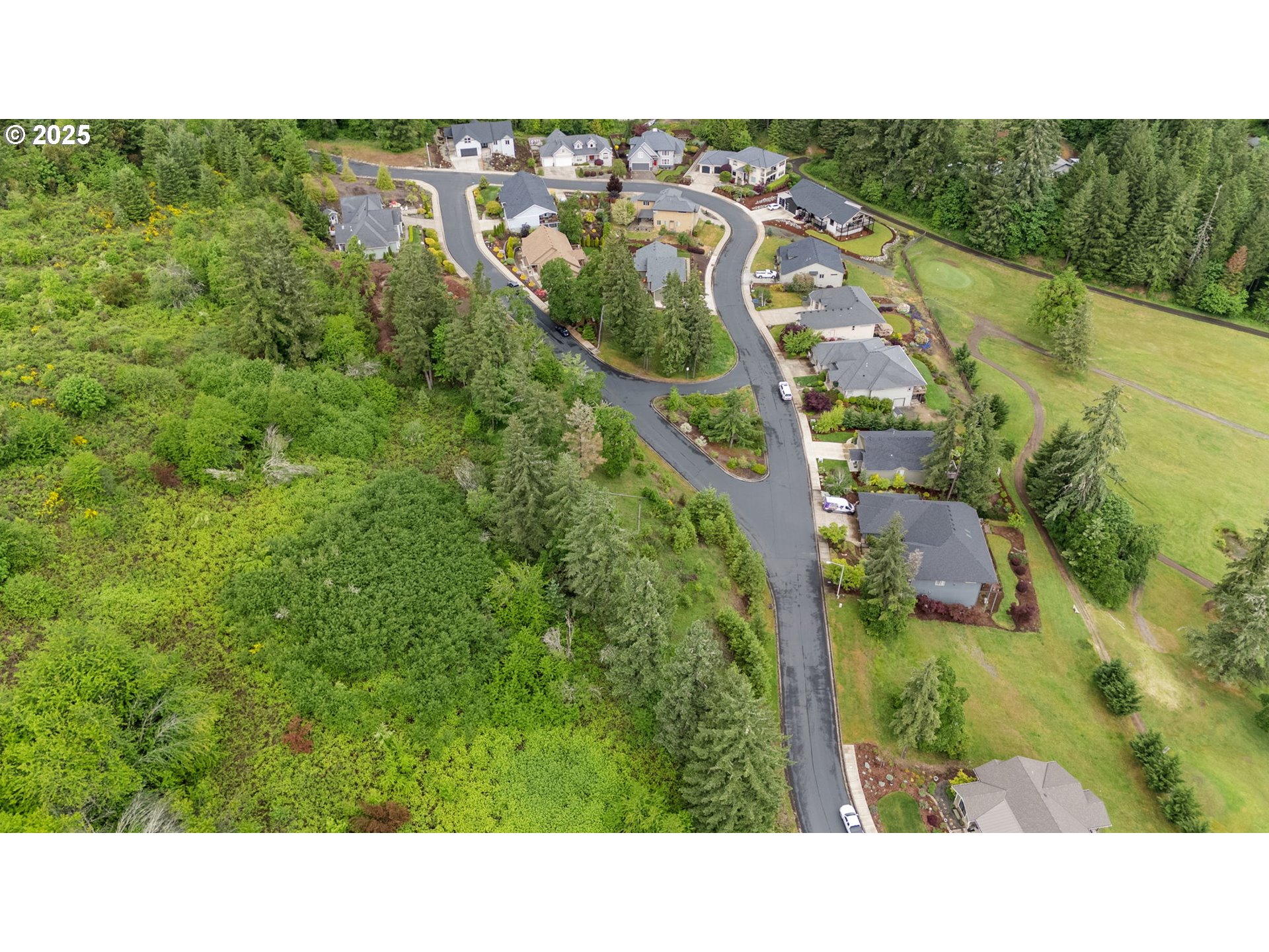 1117 La Rae Drive Cottage Grove, OR 97424 - Photo 5 of 9 a open area with lots of trees