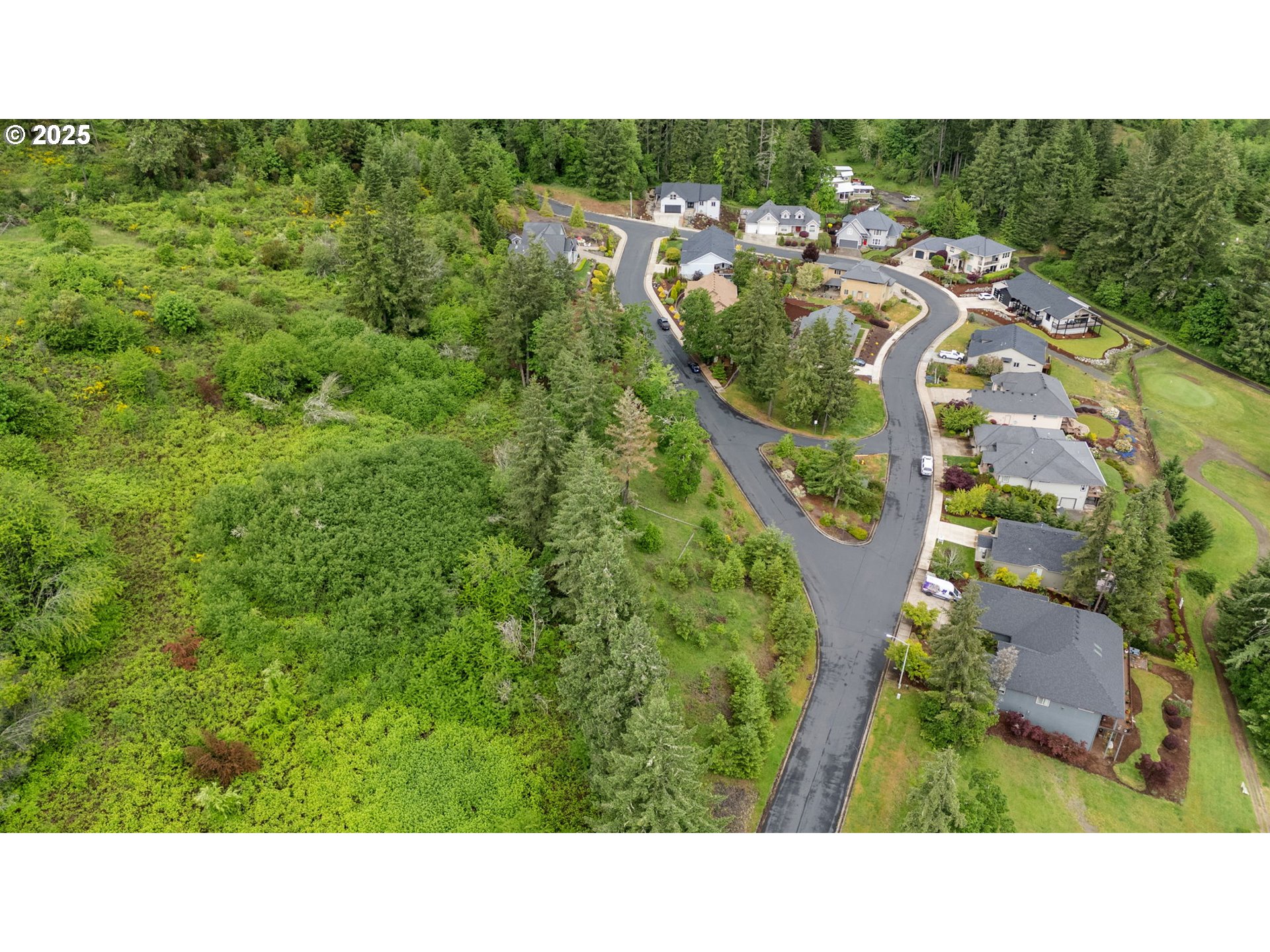 1117 La Rae Drive Cottage Grove, OR 97424 - Photo 6 of 9 a open area with lots of trees