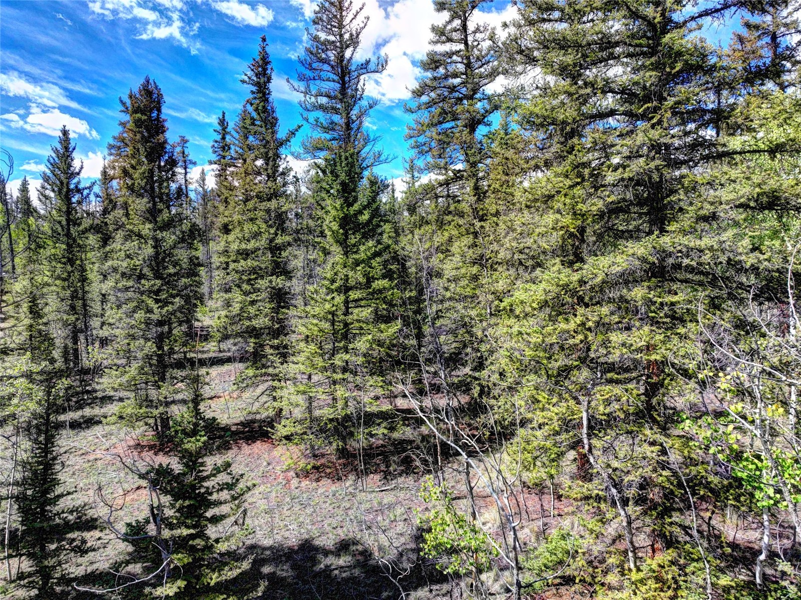 75 Swiggler Road Jefferson, CO 80456 - Photo 12 of 40 Gallery Image 12