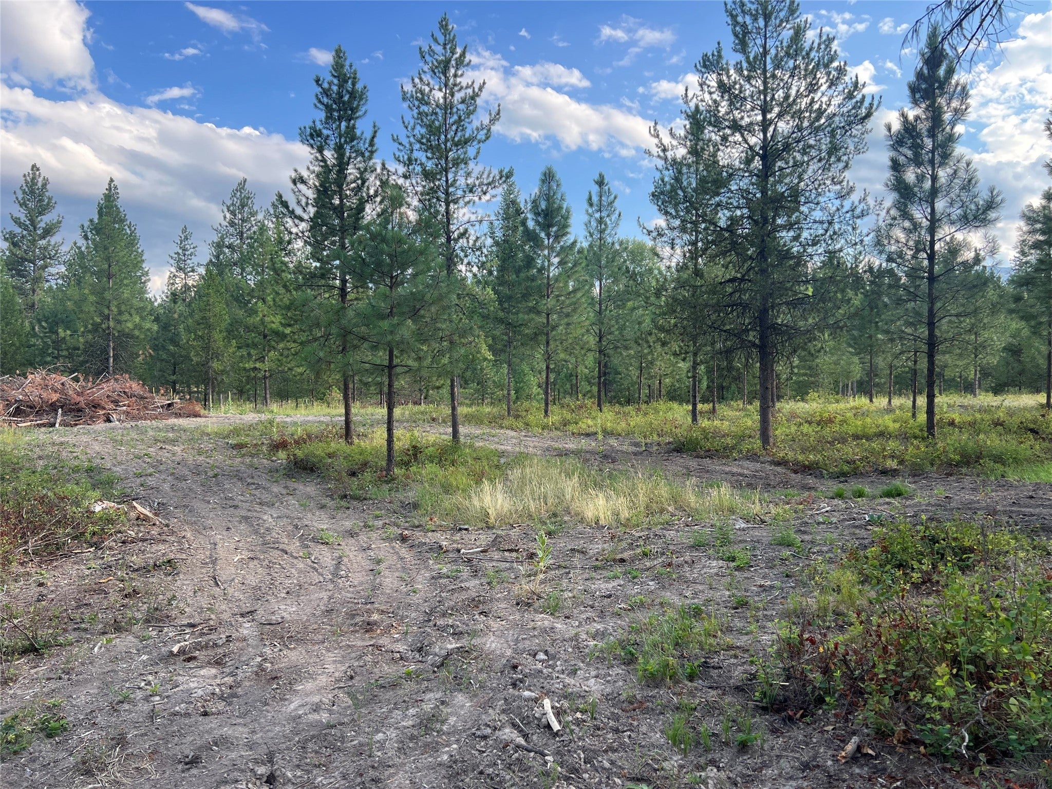 Tbd Granite Lake Road, Unit 2 Libby, MT 59923 - Photo 2 of 7 Gallery Image 2