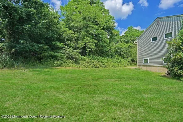 a view of a backyard with potted plants and large tree