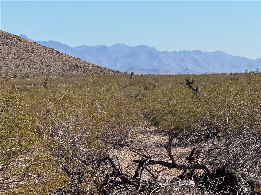33909081 North Cibola Road Golden Valley, AZ 86413 - Photo 12 of 23 View of mountain background