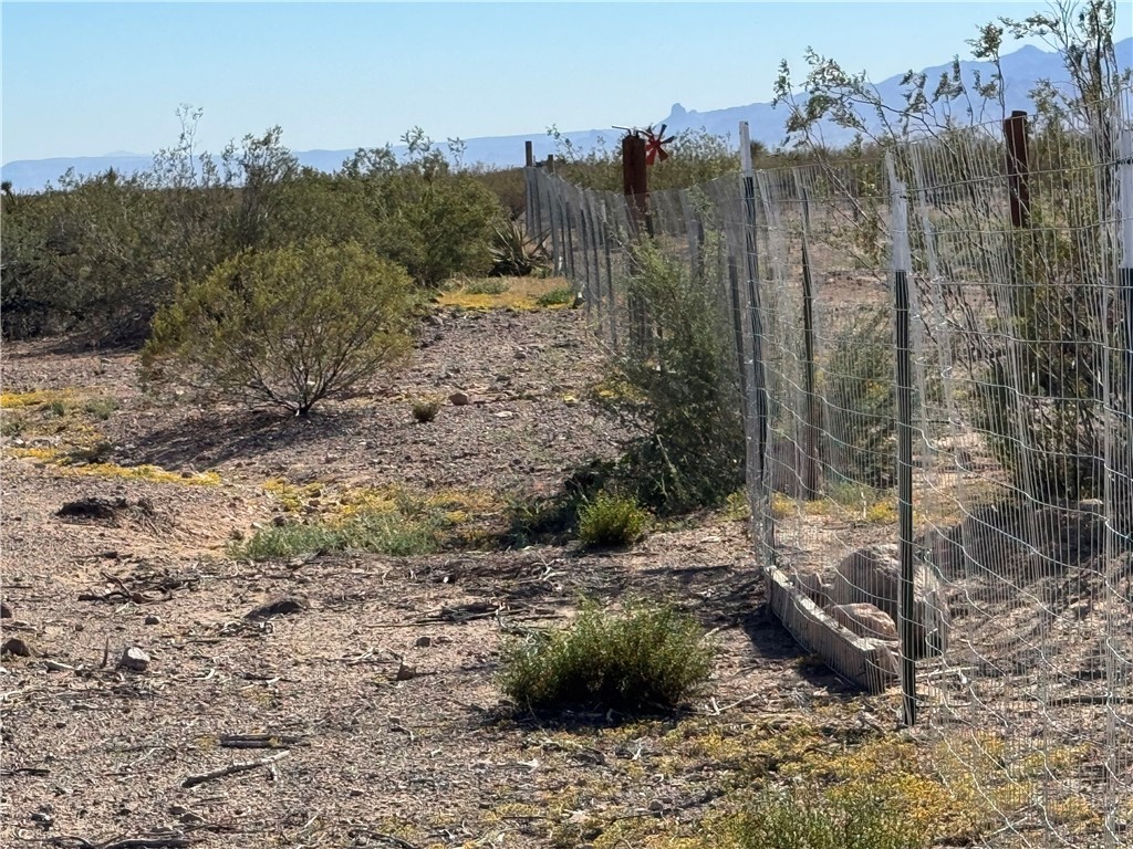 33909081 North Cibola Road Golden Valley, AZ 86413 - Photo 13 of 23 View of local wilderness featuring a mountain backdrop