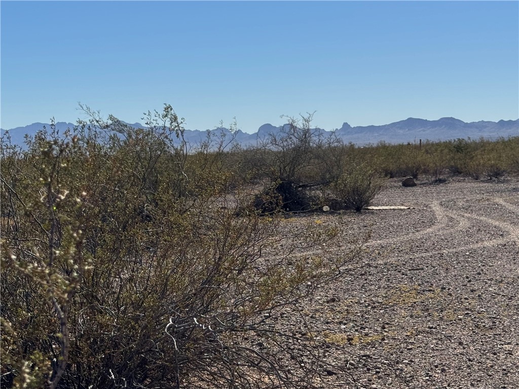 33909081 North Cibola Road Golden Valley, AZ 86413 - Photo 14 of 23 View of mountain background