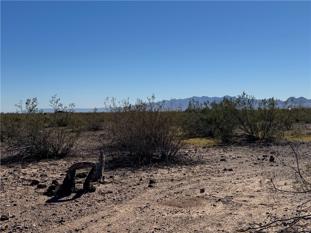 33909081 North Cibola Road Golden Valley, AZ 86413 - Photo 5 of 23 View of mountain background