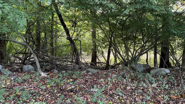 a backyard of a house with lots of green space