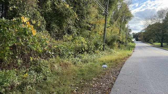 a view of a pathway both side of yard
