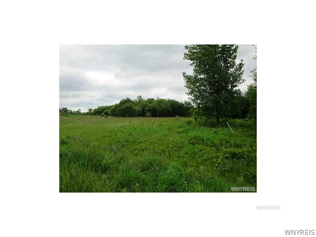 8745 Roll Road Clarence, NY 14032 - Photo 1 of 3