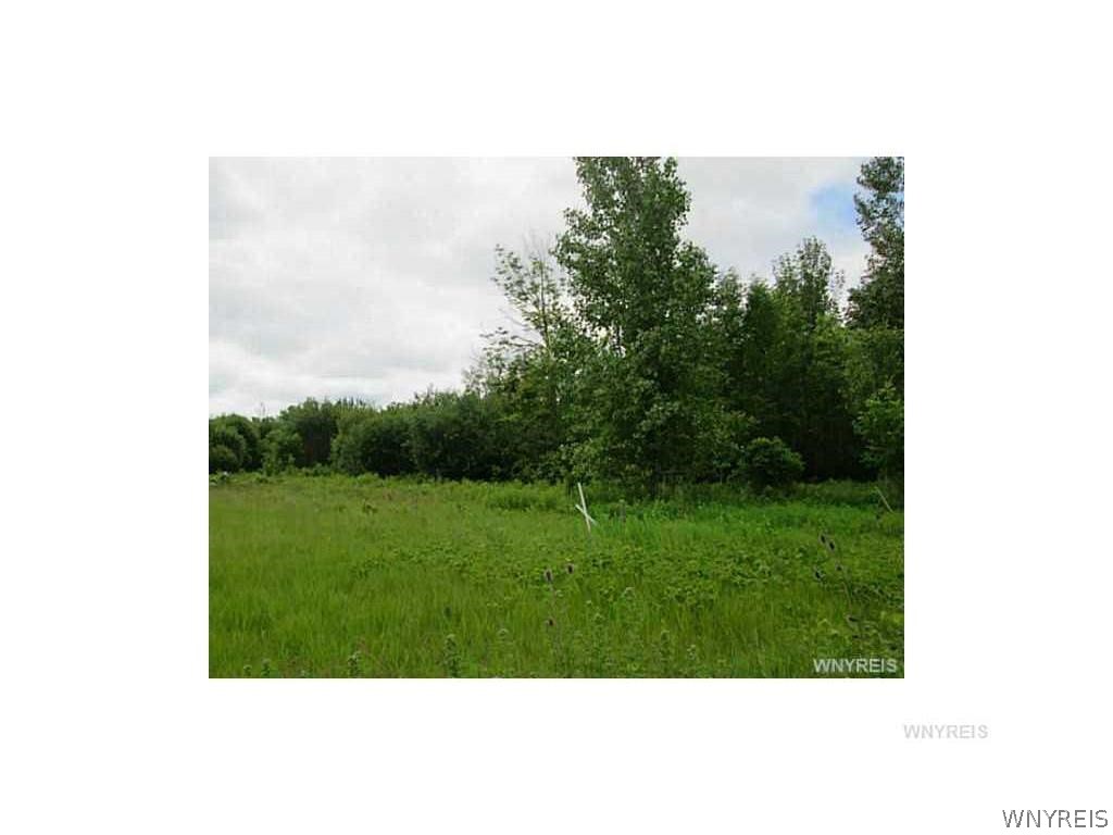 8745 Roll Road Clarence, NY 14032 - Photo 2 of 3