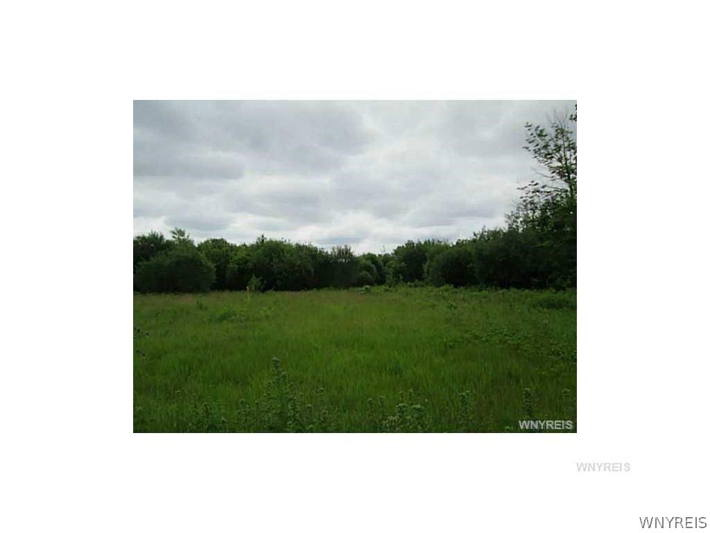 8745 Roll Road Clarence, NY 14032 - Photo 3 of 3