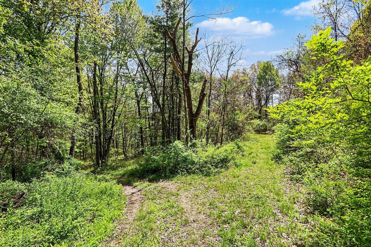 North Uldriks Road Battle Creek, MI 49017 - Photo 6 of 13