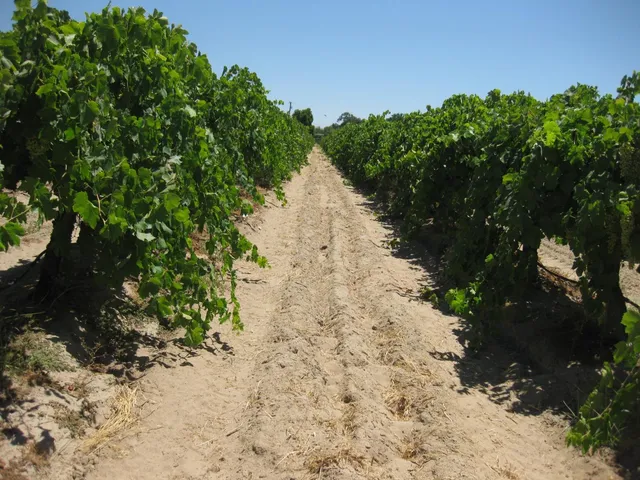 $2,695,000 | 1375 West Rose Avenue, Fresno, CA 93706