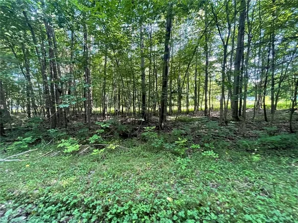 a view of park with trees