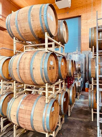 a bathroom with a toilet mirror and mirror