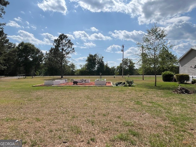 4338 Union Road Metter, GA 30439 - Photo 19 of 26 a backyard