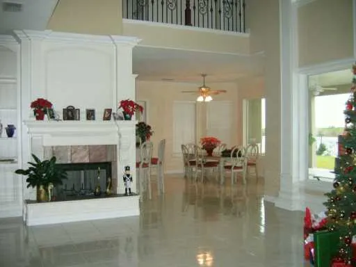 a view of dining room with furniture and a fireplace