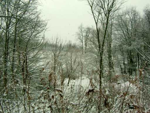 Thomas Road Eighty Four, PA 15330 - Photo 2 of 2
