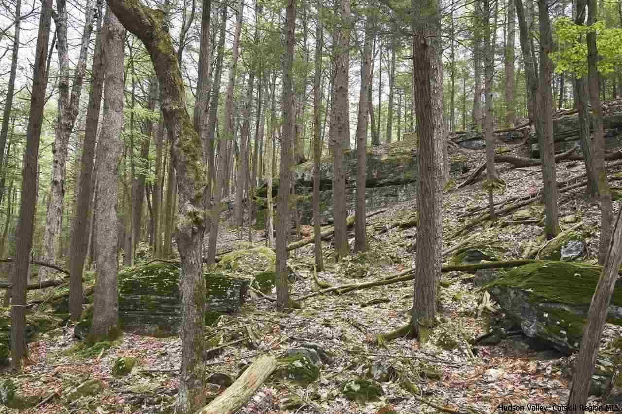 33 Grassy Ridge Road Olivebridge, NY 12461 - Photo 3 of 12 Photo 3