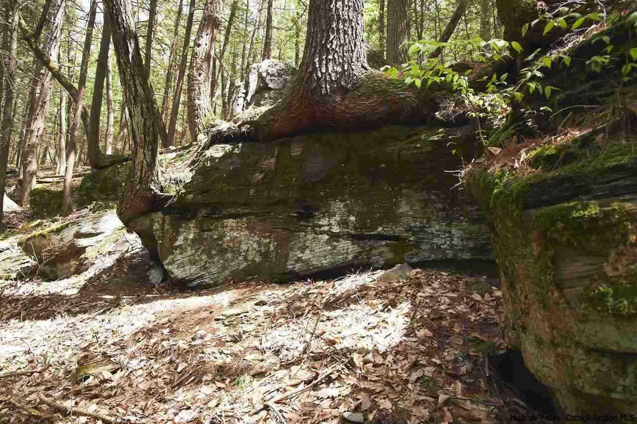 33 Grassy Ridge Road Olivebridge, NY 12461 - Photo 7 of 12 Photo 7