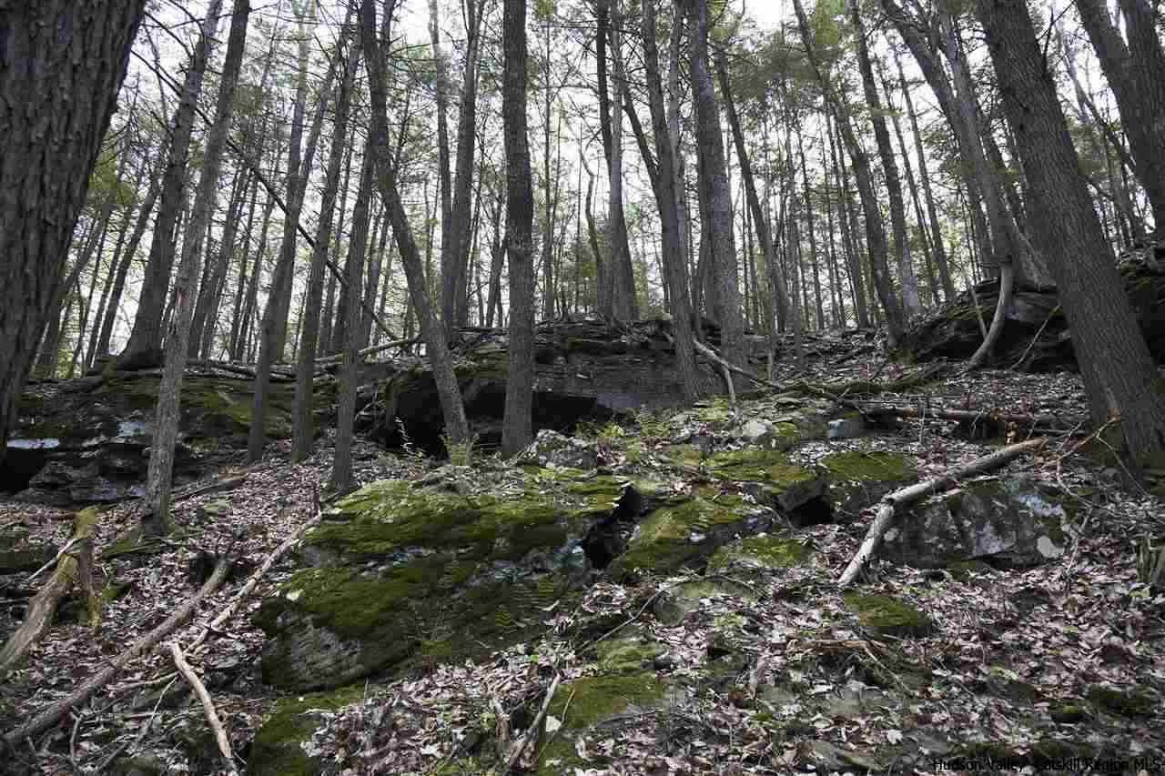 33 Grassy Ridge Road Olivebridge, NY 12461 - Photo 10 of 12 Photo 10
