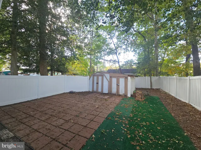 a view of backyard with wooden fence and a large tree