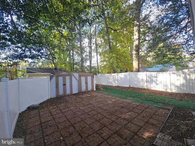 a view of a backyard with large trees and wooden fence