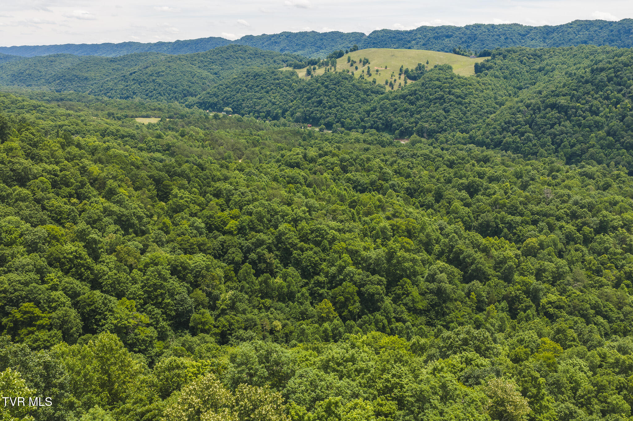 150-ac Big Springs Road Eidson, TN 37731 - Photo 22 of 24 DJI_20260616131036_0246_D