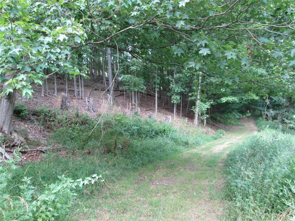 1075 Red Mill Road Kittanning, PA 16201 - Photo 16 of 18 a view of a lush green forest with lots of trees