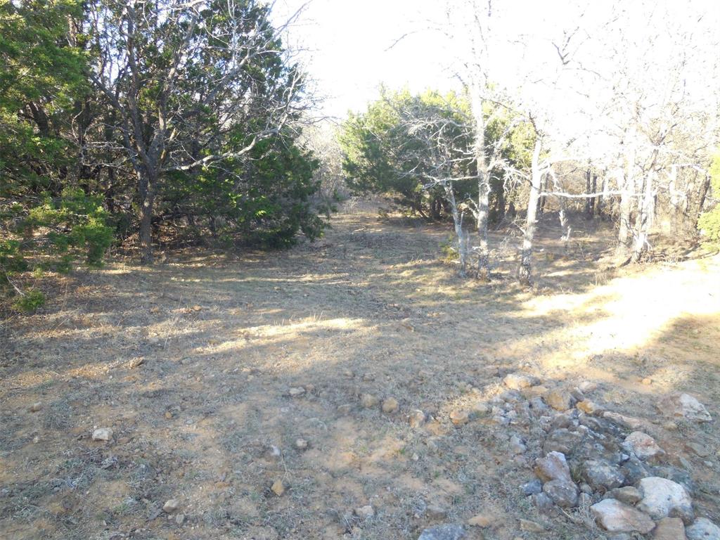12436 County Road 134 Ranger, TX 76470 - Photo 25 of 32 a view of a yard with trees