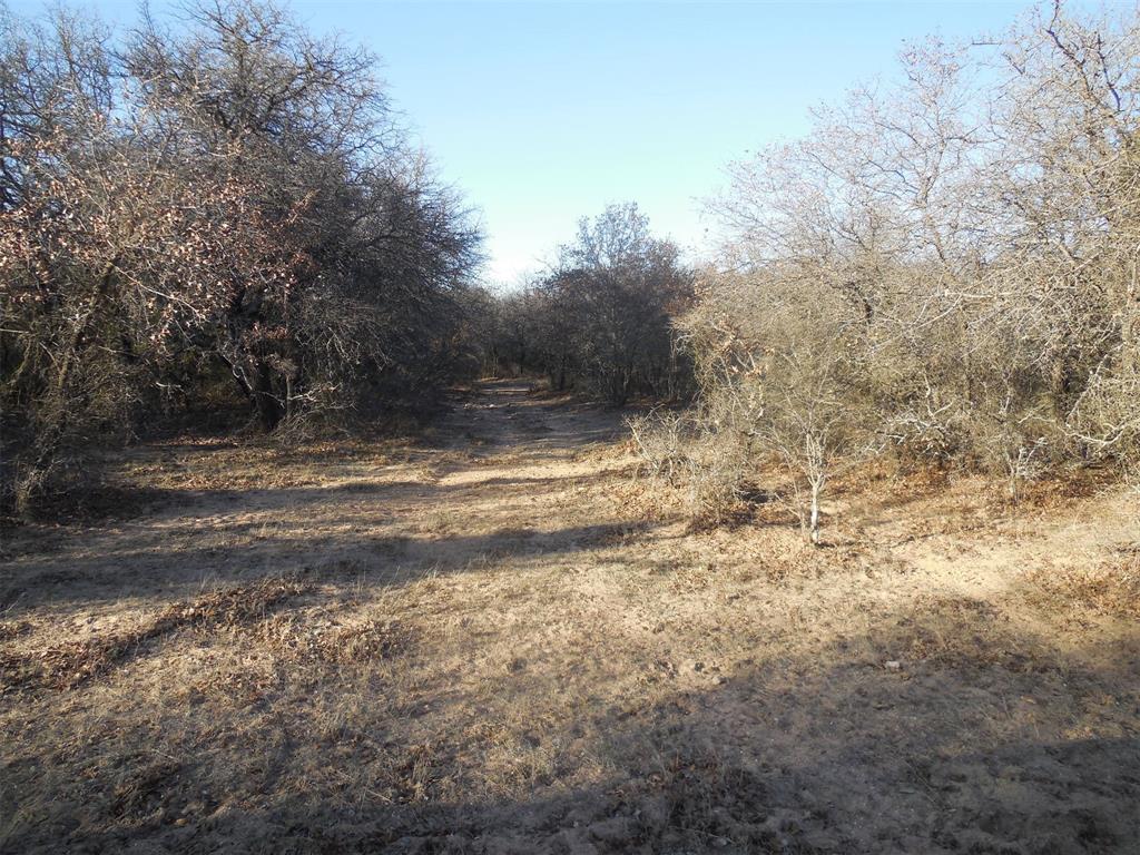 12436 County Road 134 Ranger, TX 76470 - Photo 29 of 32 a view of empty room with trees