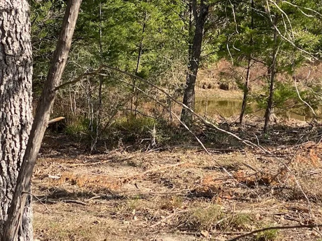 a view of a yard with large trees