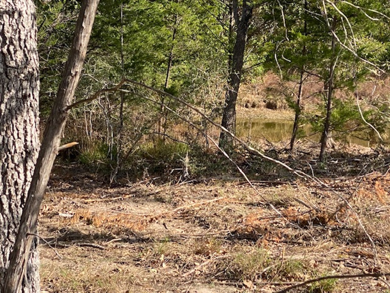 602 Oilers Drive Somerville, TX 77879 - Photo 6 of 7