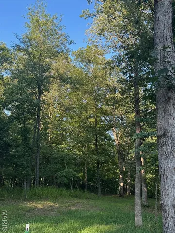 $290,000 | 190 Steeple Point Drive, Defiance, MO 63341