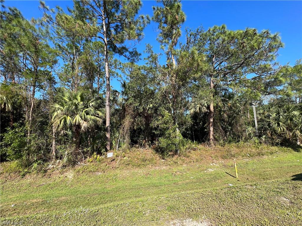 Pine Ridge Road Naples, FL 34119 - Photo 2 of 2 a view of a yard
