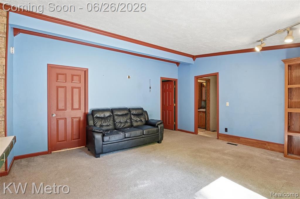 22733 Sumpter Road Belleville, MI 48111 - Photo 25 of 52